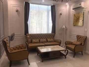 new villa for rent in phu my hung near cis  canadian international school