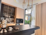brand new luxury villa for sale in my giang at phu my hung