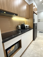 midtown 2 bedroom apartment for sale southeast view fully furnished