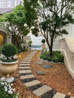 luxury villa for sale in thao dien with spacious design and modern architecture