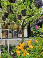 cho thue biet thu cao cap tai my giang phu my hung full option sang trong