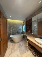 for rent ninesouth riverside detached villa with private pool