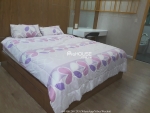 cho thue can ho 2 phong ngu dep nhat riverside residence view song