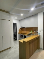 cho thue can ho 2 phong ngu full noi that view thoang tai cardinal court phu my hung