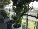 nice apartment for rent with open view at scenic valley with full furniture