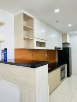 contemporary 2 bedroom apartment for rent at hung phuc