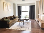 corner apartment for rent in midtown phu my hung with 2 large open view