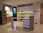 spacious and fully furnished apartment for rent in the ascent thao dien with beautiful view