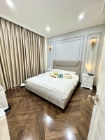 villa for rent in my thai phu my hung with 4 bedrooms and high end furniture