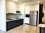 million dollar project in district 1   vinhomes golden river   the pinnacle of the elite for rent